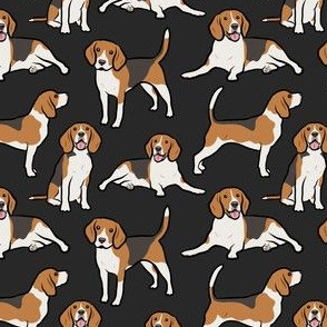 Beagle Dogs - Small - Black