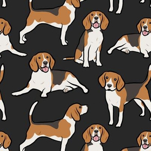 Beagle Dogs - Large - Black