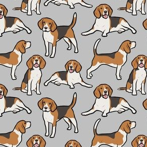 Beagle Dogs - Small - Gray / Grey