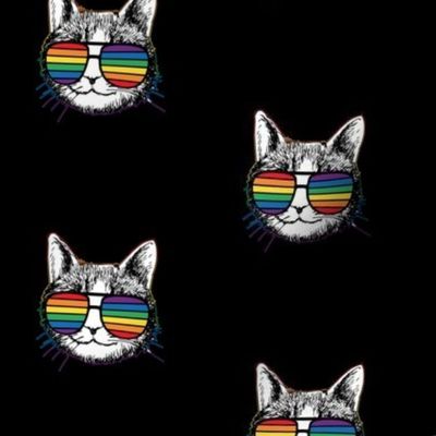 Cat Rainbow Sunglasses 