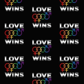 LGBT Love Wins