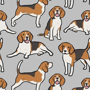 Beagle Dogs - Large - Gray / Grey