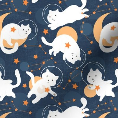 space kawaii cats