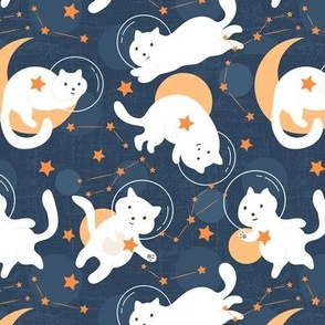 space kawaii cats