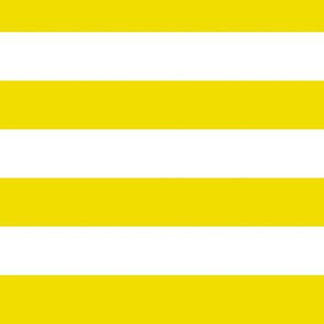 Large Dandelion Yellow Awning Stripe Pattern Horizontal in White