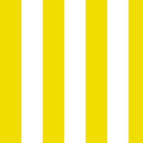 Large Dandelion Yellow Awning Stripe Pattern Vertical in White
