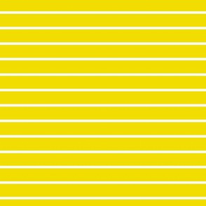 Dandelion Yellow Pin Stripe Pattern Horizontal in White