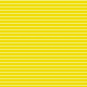 Small Dandelion Yellow Pin Stripe Pattern Horizontal in White