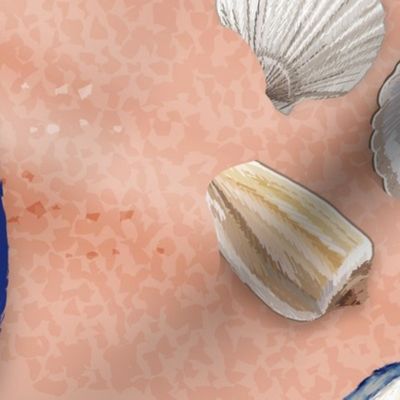 Summer Beachcomber Seashells | Pink Sand