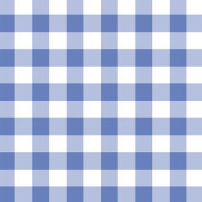 Gingham, Plaid, Check, Blue and White