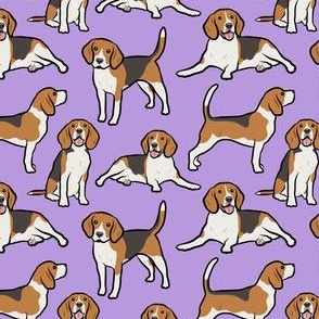 Beagle Dogs - Small - Purple