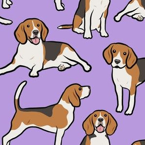 Beagle Dogs - Large - Purple