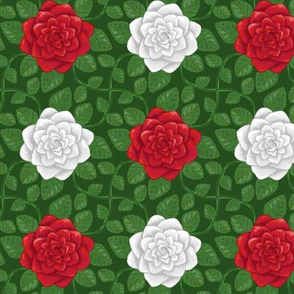 Everblooming Dark Red and White Roses on Green