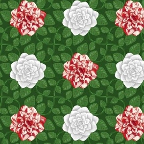 Everblooming Red Striped and White Roses on Green