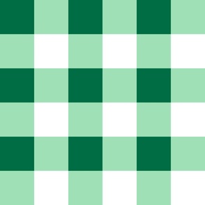 Medium Scale - Non-Directional - Green Gingham - St Patricks Day - Christmas - Earth Day - World Environment Day