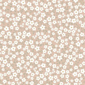 simple florals- daisies dusty pink