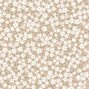 simple florals- daisies dusty pink