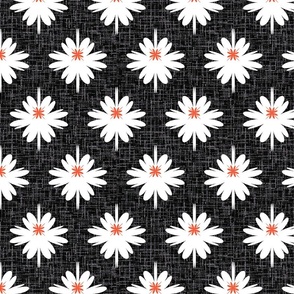 Black and white, white flowers, chamomile, bloom, daisy flowers, black, floral, floral design, summer, floral pattern, white chamomile, summer nature, nature design, contrast design, blooming