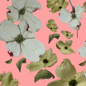 Dogwood Pedals on Neon Pink