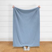 Solid Powder Blue Color - From the Official Spoonflower Colormap