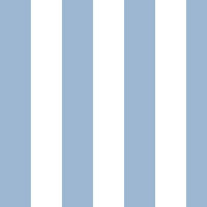 Large Powder Blue Awning Stripe Pattern Vertical in White