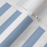 Powder Blue Awning Stripe Pattern Horizontal in White