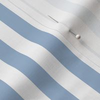 Powder Blue Awning Stripe Pattern Vertical in White