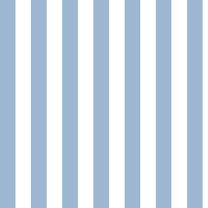 Powder Blue Awning Stripe Pattern Vertical in White
