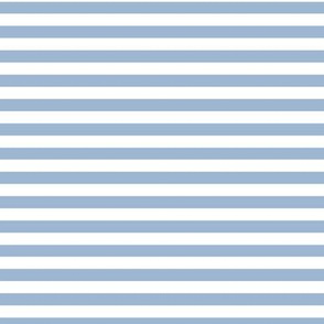 Powder Blue Bengal Stripe Pattern Horizontal in White