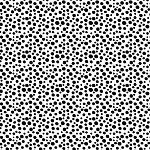 Iregular Ditsy Dots BW