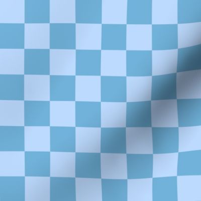 Coastal Blue Checkers