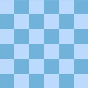Coastal Blue Checkers