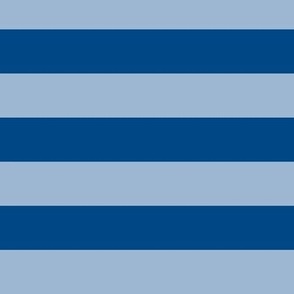 Large Powder Blue Awning Stripe Pattern Horizontal in Blue
