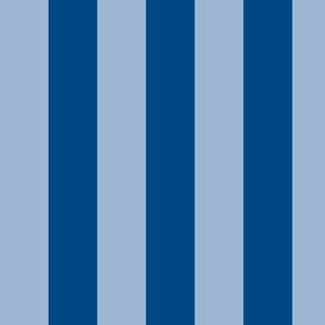Large Powder Blue Awning Stripe Pattern Vertical in Blue