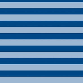 Powder Blue Awning Stripe Pattern Horizontal in Blue