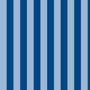 Powder Blue Awning Stripe Pattern Vertical in Blue