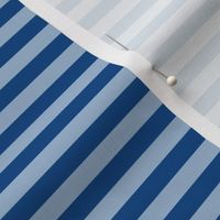 Powder Blue Bengal Stripe Pattern Horizontal in Blue