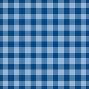Gingham Pattern - Powder Blue and Blue