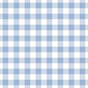 Gingham Pattern - Powder Blue and White