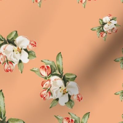 Hudson Floral Insignia in Peach