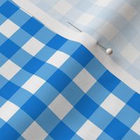 Gingham Blue and White, Check Pattern Blue and White, Blue and White Plaid