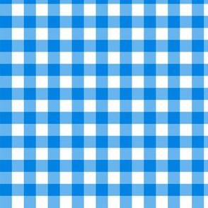 Gingham Blue and White, Check Pattern Blue and White, Blue and White Plaid