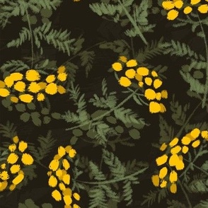 Wild plants, yellow flowers, tansy, medicinal herbs, meadow plants, black background, yellow and black, leaves, floral pattern, natural design, nature, summer, weeds.