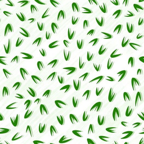  spring dress, grasses, spring, spring leaves, spring greens, herbs, plants, greens, natural, leaves, nature, white and green, green and white