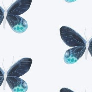 Phantom Butterfly in Blue on White