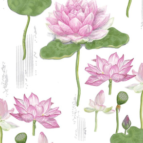 Large Lotus Flowers With Lily Pads