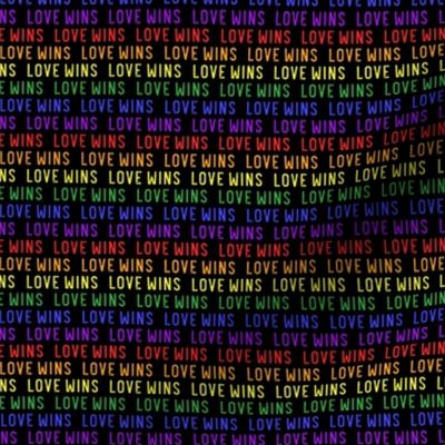 (small scale) Love Wins - rainbow - PRIDE - LGBTQ - black - C21