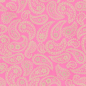 Boho Beige Paisleys (pink sherbet) 18"