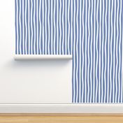Small scale // Monochromatic lines coordinate // denim blue and white vertical stripes