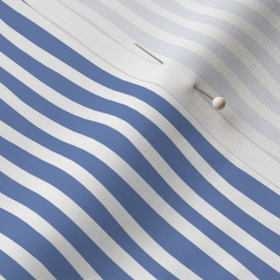 Tiny scale // Monochromatic lines coordinate // denim blue and white vertical stripes